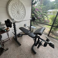 Bench Press And Weights 