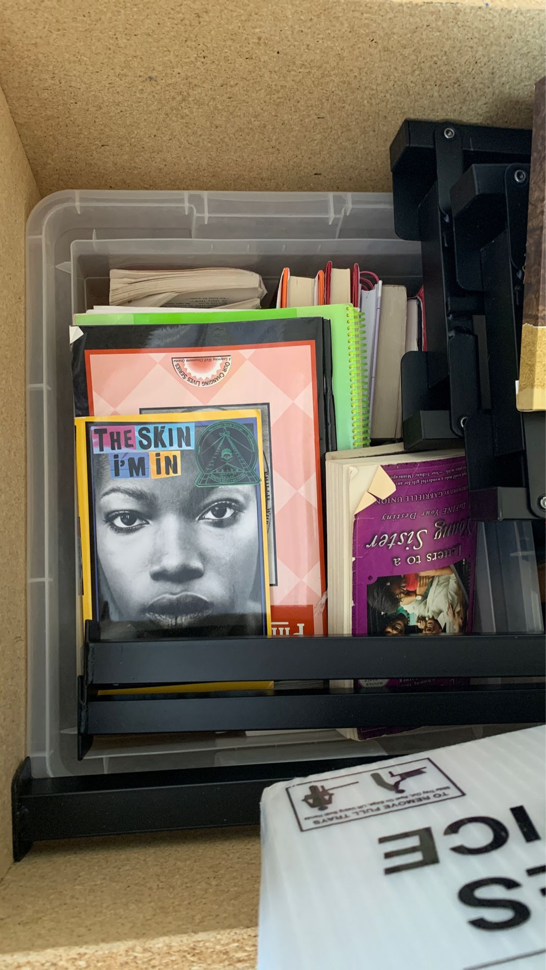 Teen books (Whole bin)