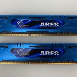 DDR3 RAM (G Skill) x 2