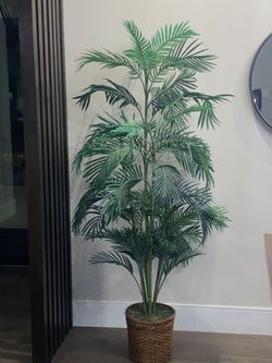 6' Faux Paradise Palm Tree In The Brown Wicker Basket Planter