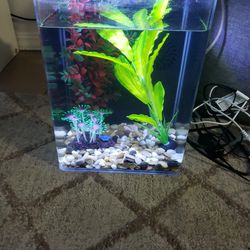 5 Gallon Aquarium With Filter Lights .everything Inside Is Included.