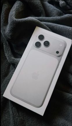 17 PRO MAX ( Silver)