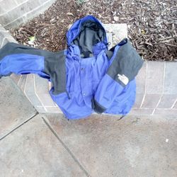 THE NORTH FACE  GORE-TEX Jacket – Black/Purple, Large, Like New! 