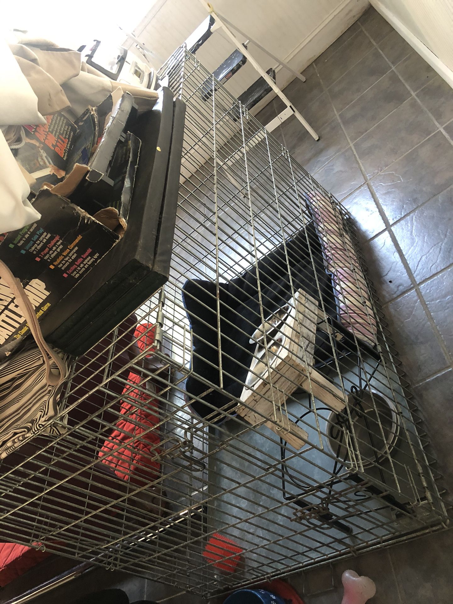 XL dog crate and accessories