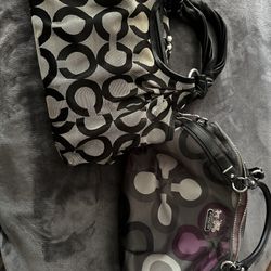 Small/medium Coach Bags
