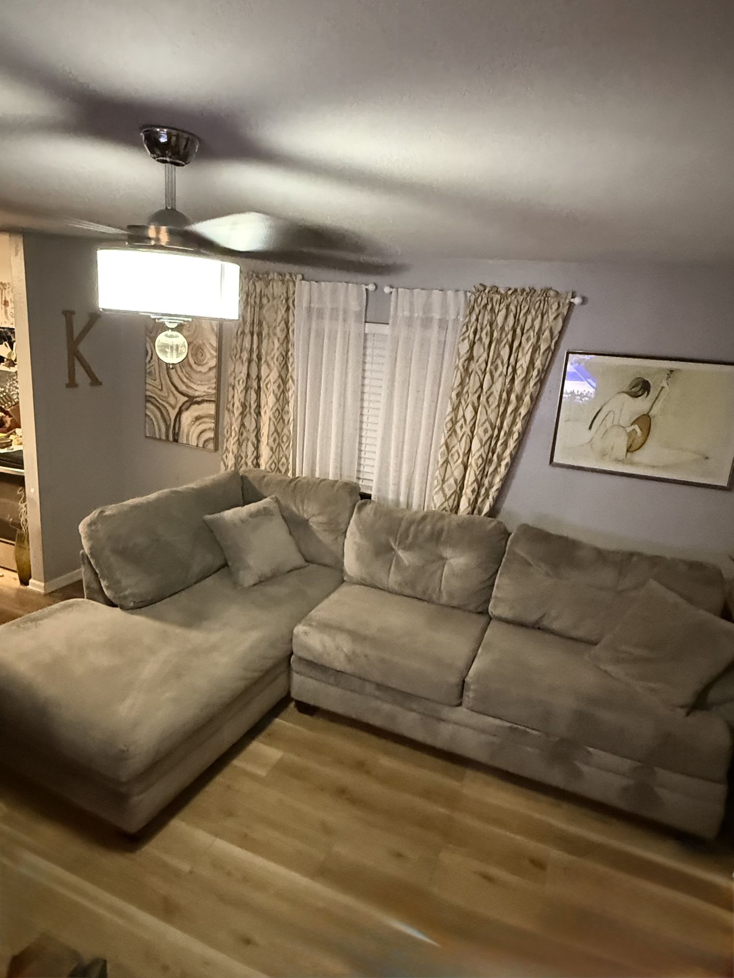 2-piece sectional chaise Couch