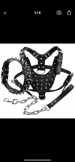 Dog Collar Vest And Chain 
