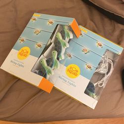 Decorating Turtle Lights