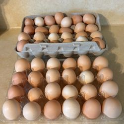 Farm Fresh Eggs $5 A Dozen 