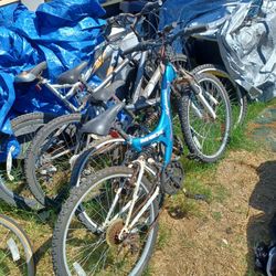 3 Bikes Needs Work