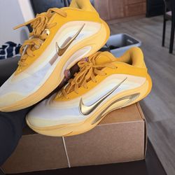 A’One University Gold