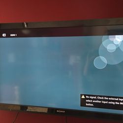 Sony 45" TV