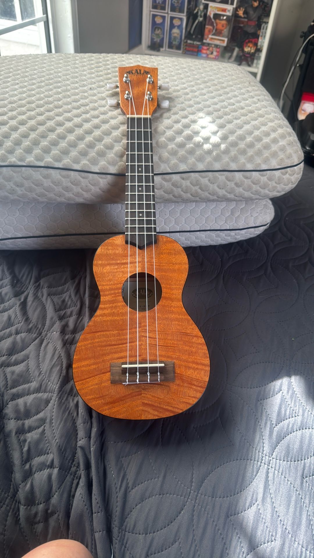 Guitarra Kaká