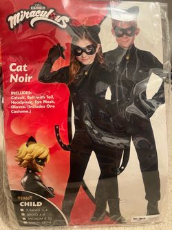 Cat Noir costume
