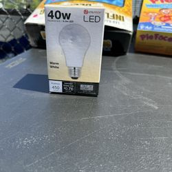 Light Bulbs
