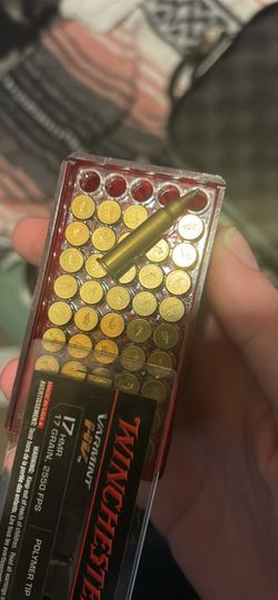 17hmr 200 rds