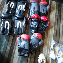 14 Oz Boxing Gloves