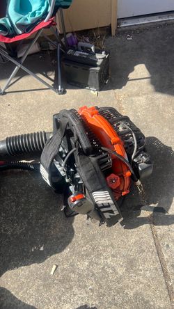 Echo Gas-Powered Backpack Leaf Blower