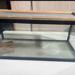 Reptile tank