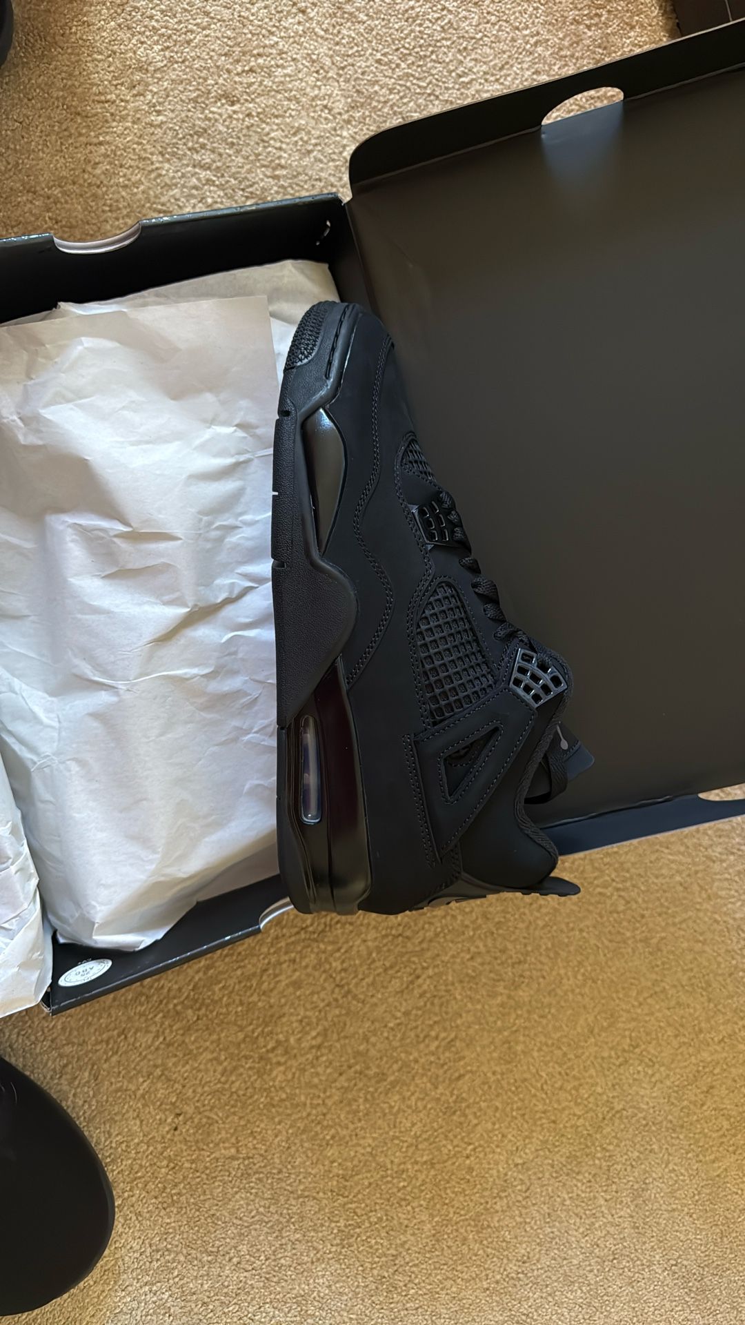 Air Jordan 4 Black Cat