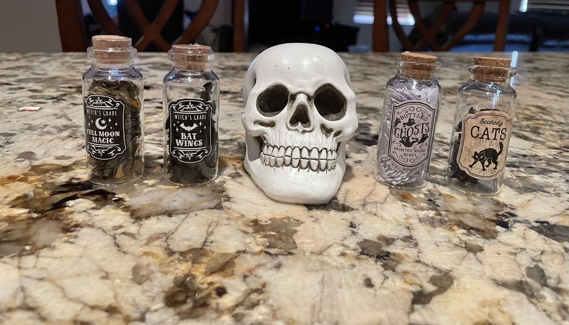 Target Bullseye Playground Halloween Skeleton Head and Potion Bottles