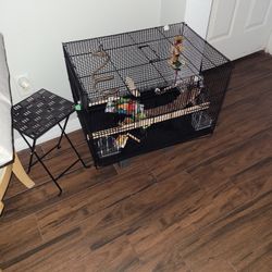 Bird Cage