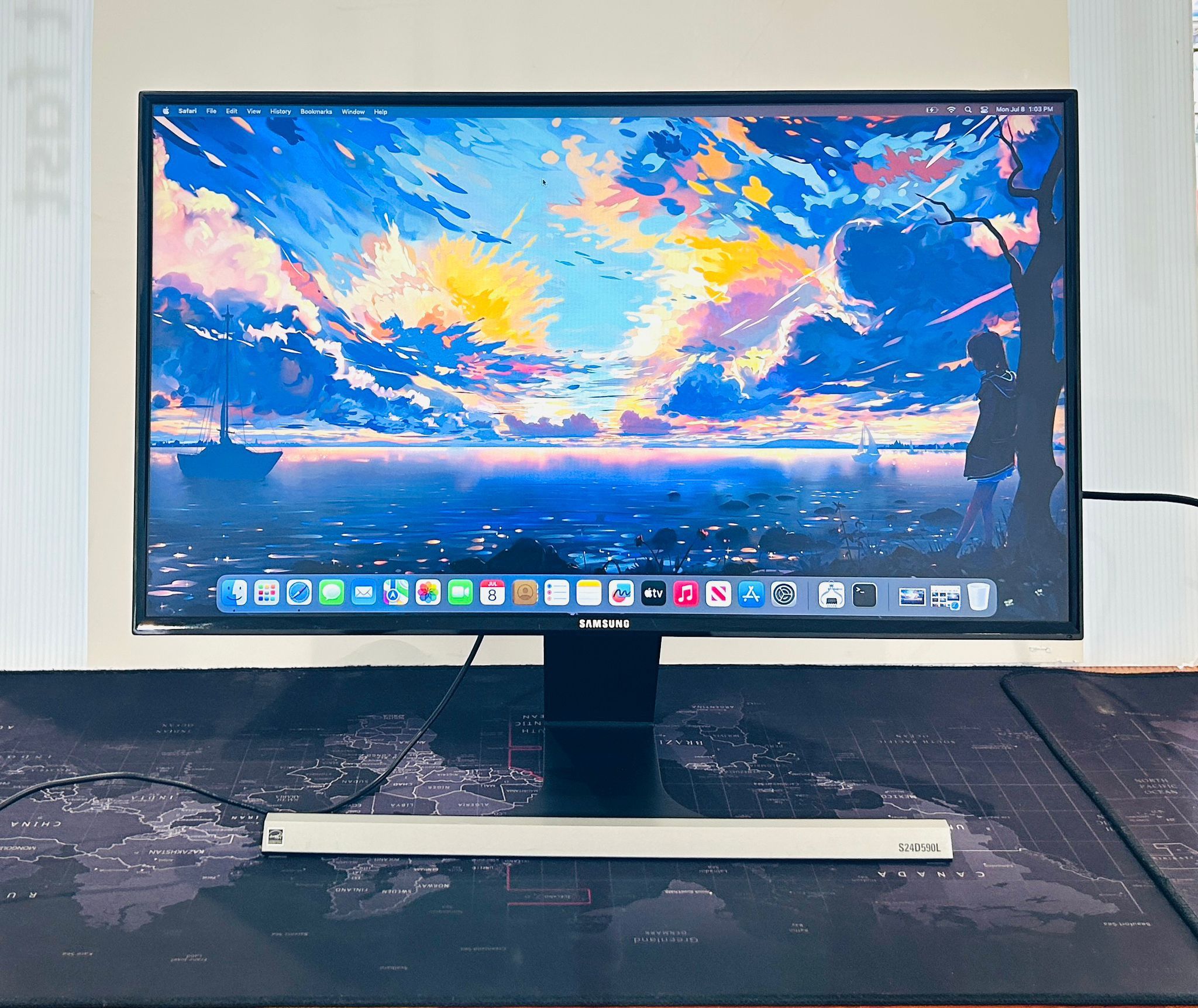 Samsung 24” Monitor Antiglare S24D590L 1080p Fully Functional
