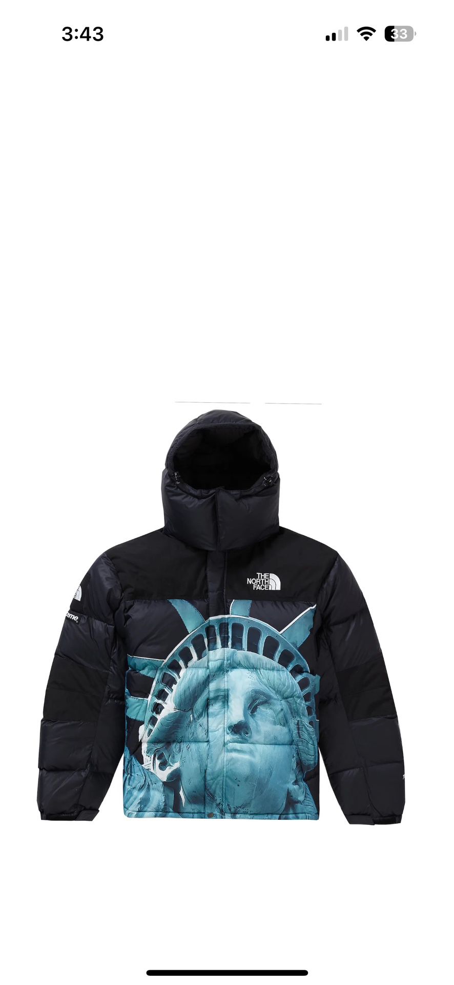 Supreme X TNF Statue Of Liberty Baltoro Jacket size M