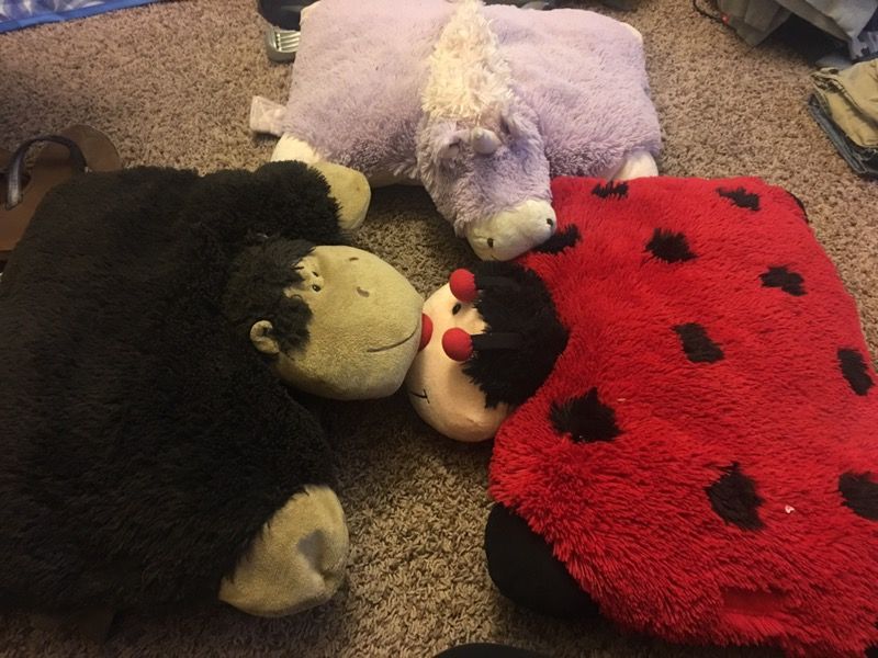 Pillow pets