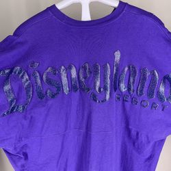 Disneyland Spirit Jersey And Ears 