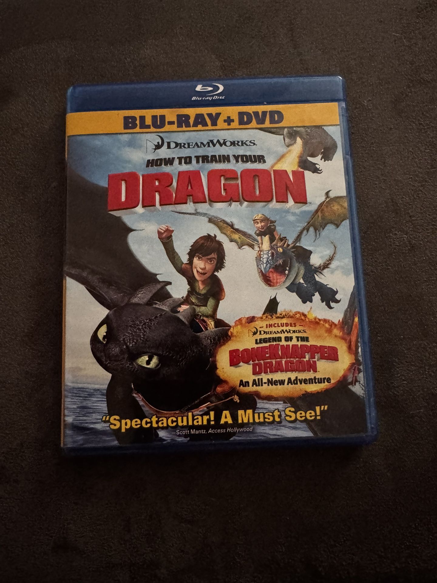 DreamsWorks How To Train Your Dragon Blu-ray And DVD