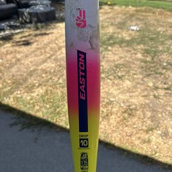 Easton Dub Baseball Bat 30/20 $150