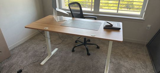 Electric Standing Desk