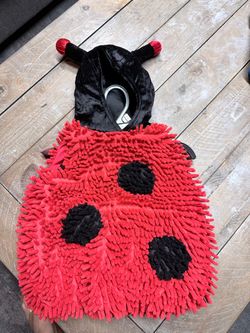 Ladybug Halloween Costume (12-18 months)