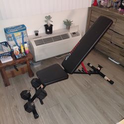 Bench and weights two 25lb dumbbells