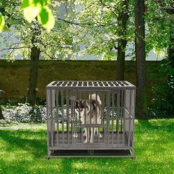 Dog Cage