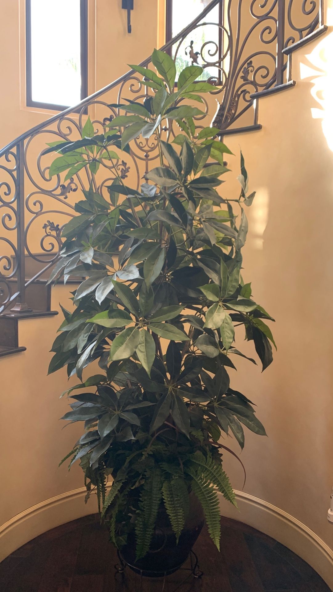 False indoor plant