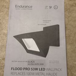 WAC lighting Flood Light