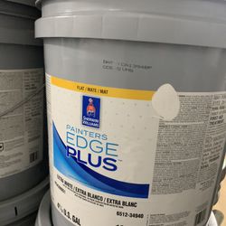 Pintura Interior Blanca Y De Color 