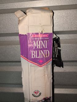 1 Inch Vinyl Mini Blind