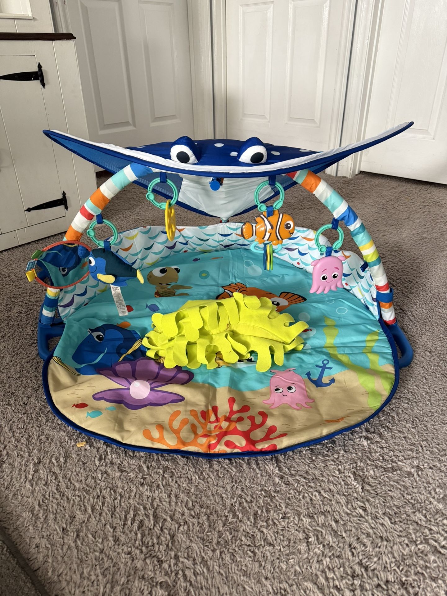 Baby Play Mat