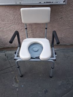 Toilet  With Ams