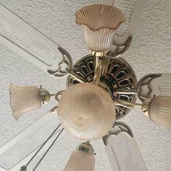 Ceiling Fan/lights
