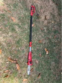 Sun Joe 10 inch Electric Telescoping Pole Saw