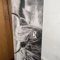 Large B&W Highland Cow Canvas Print 
