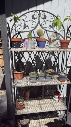 Patio Shelf