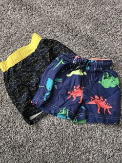 Swim Shorts