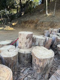 Eucalyptus Tree Trunks. Price Varies