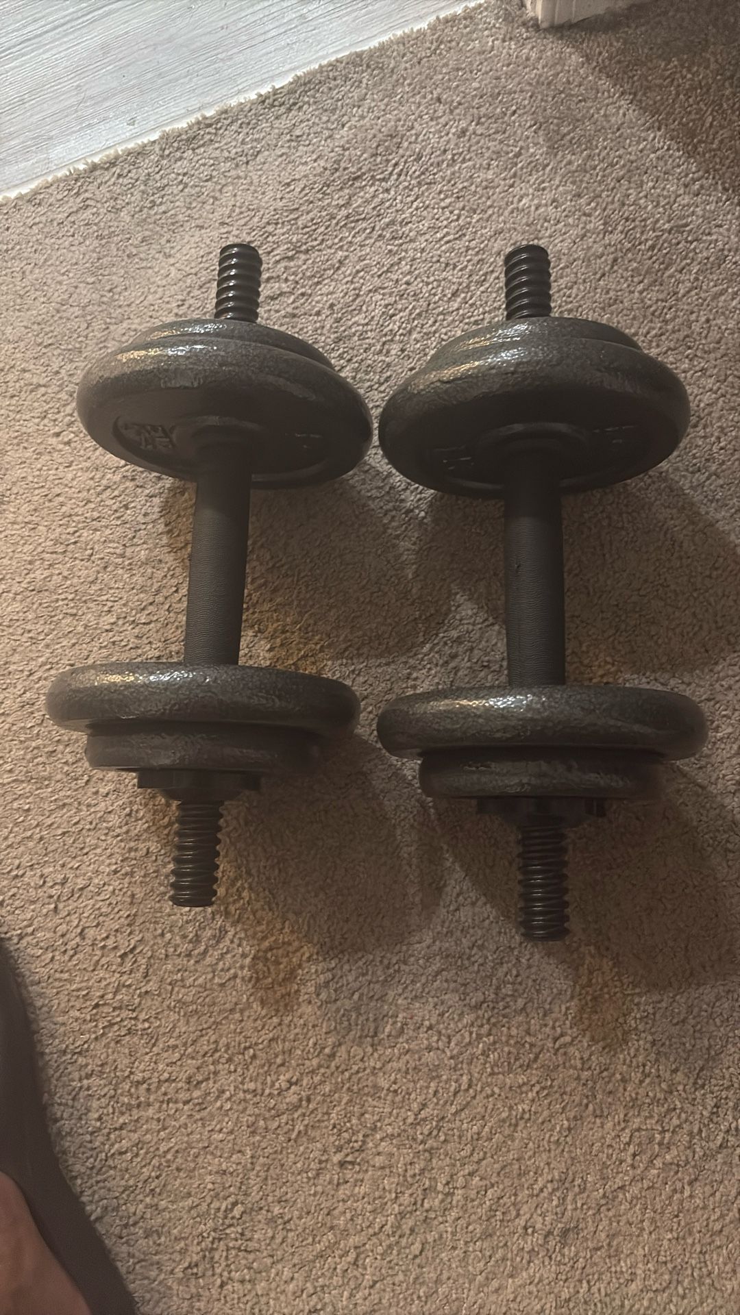 Adjustable Weights