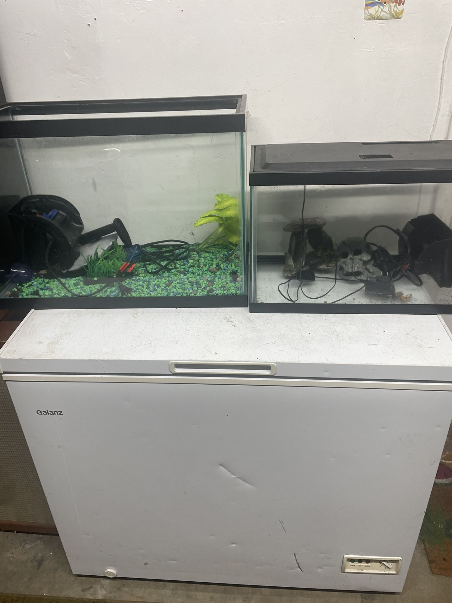 Fish Tanks